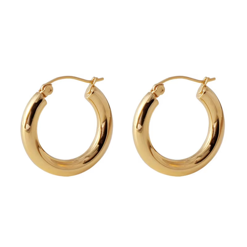 Elegant Duo Hoop Earrings