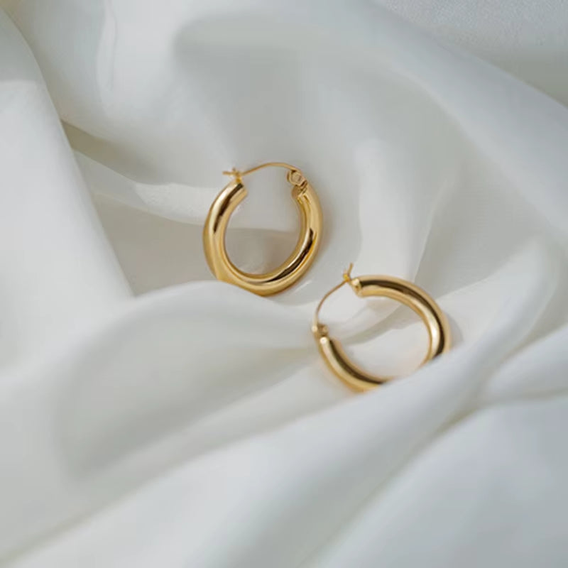 Elegant Duo Hoop Earrings